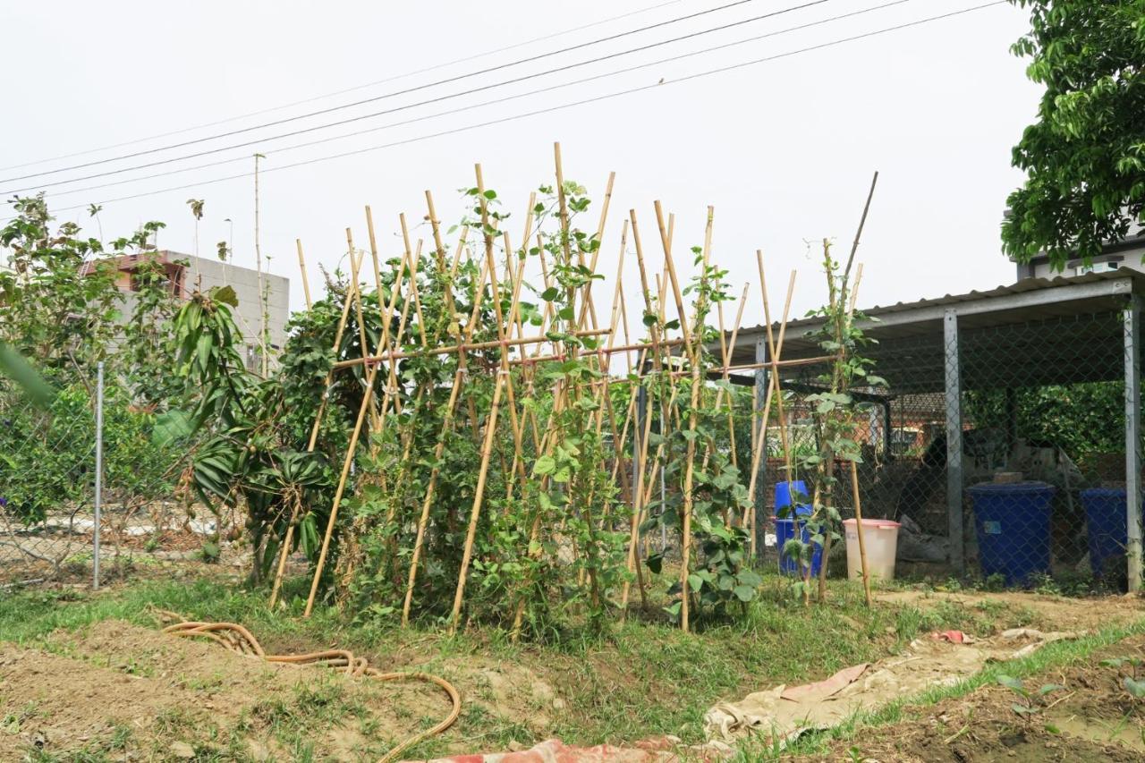 嘉義泊岸居民宿 Lucao Exteriör bild