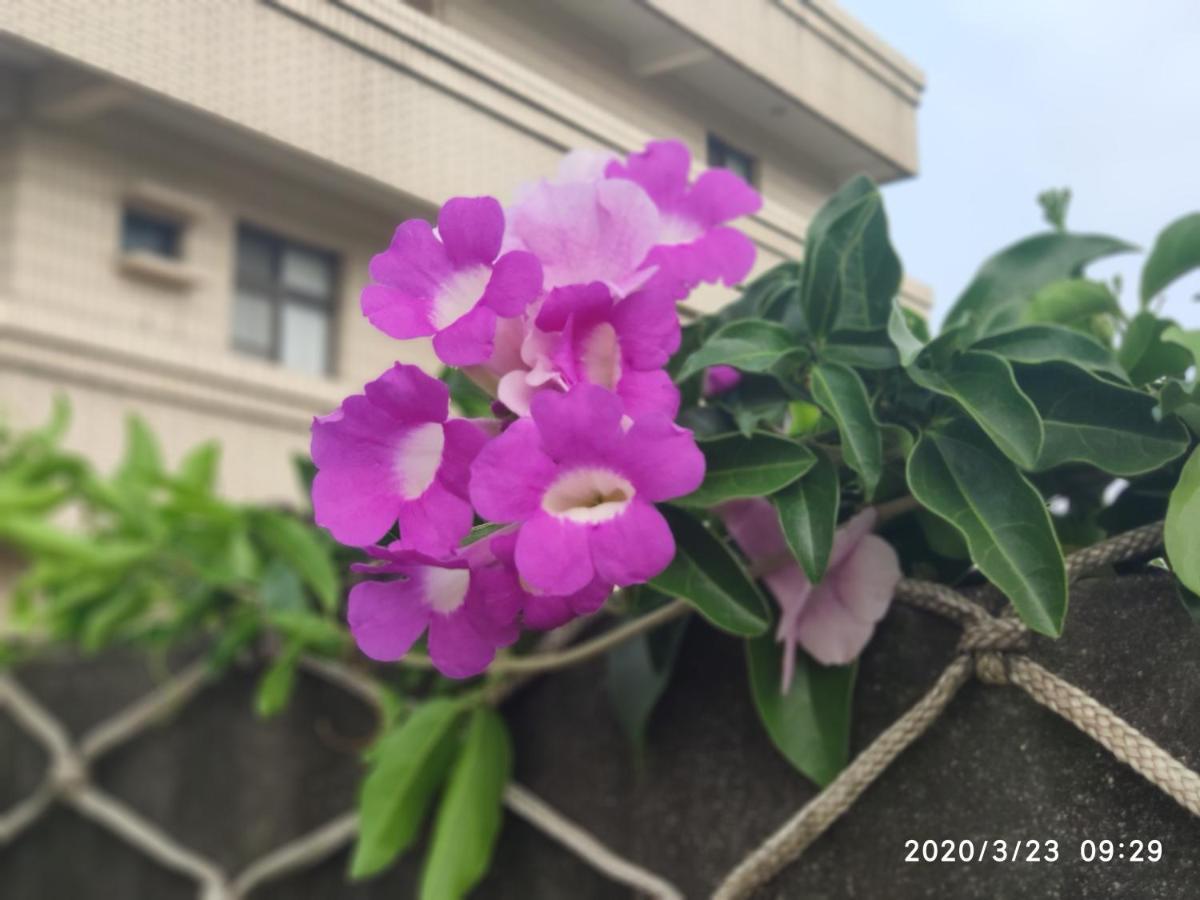 嘉義泊岸居民宿 Lucao Exteriör bild